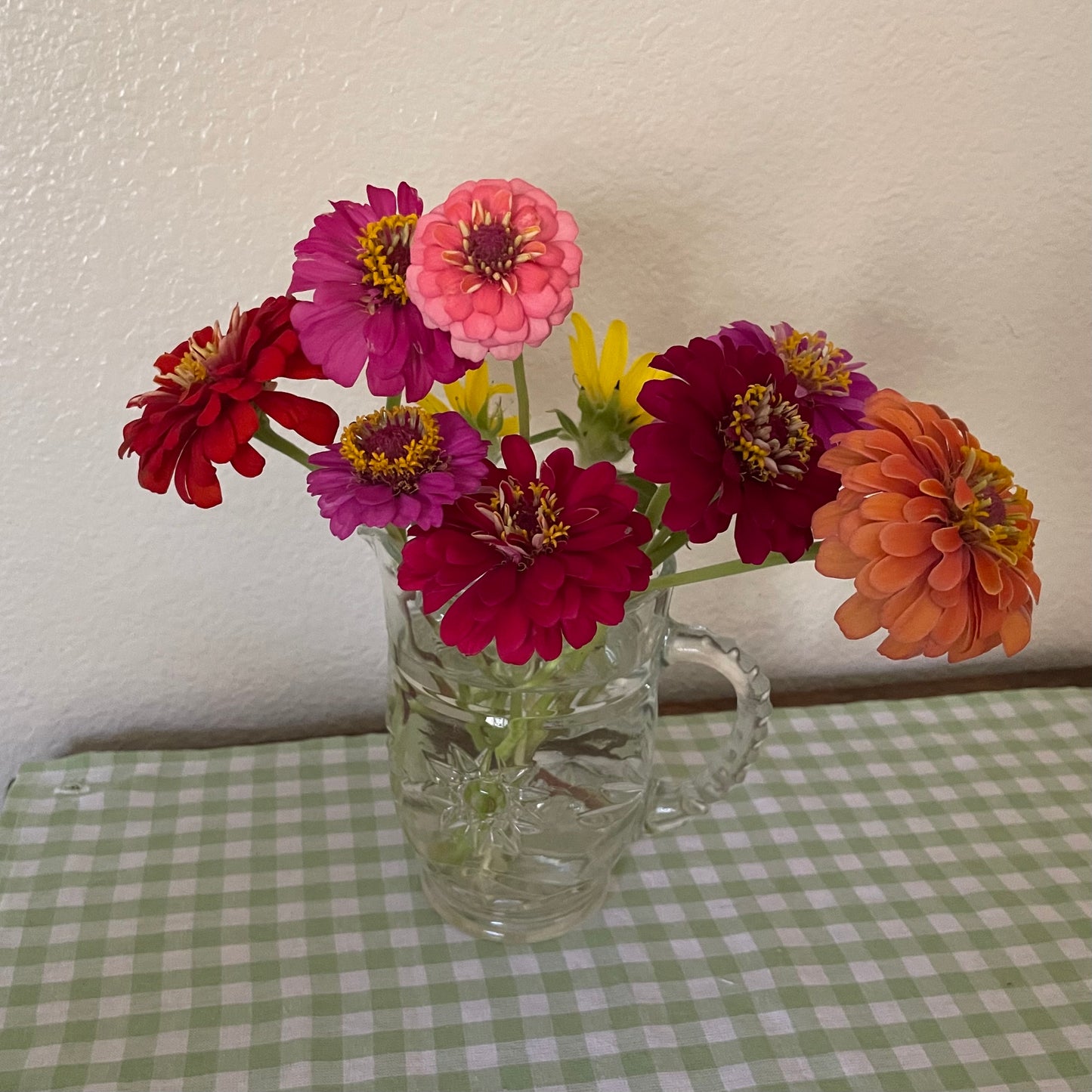 Zinnia Wildflower Flower Garden Seeds Pack