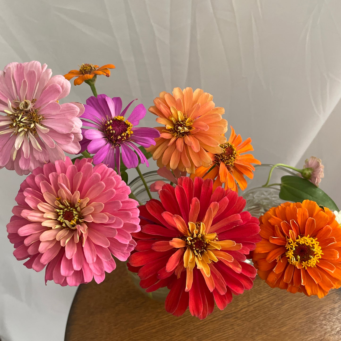 Bouquet of Garden Flowers for Pickup on Saturday, August 8th